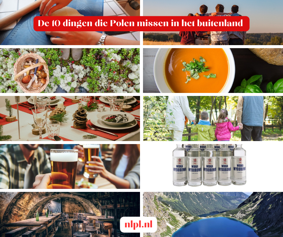 Wat missen Polen in het buitenland?