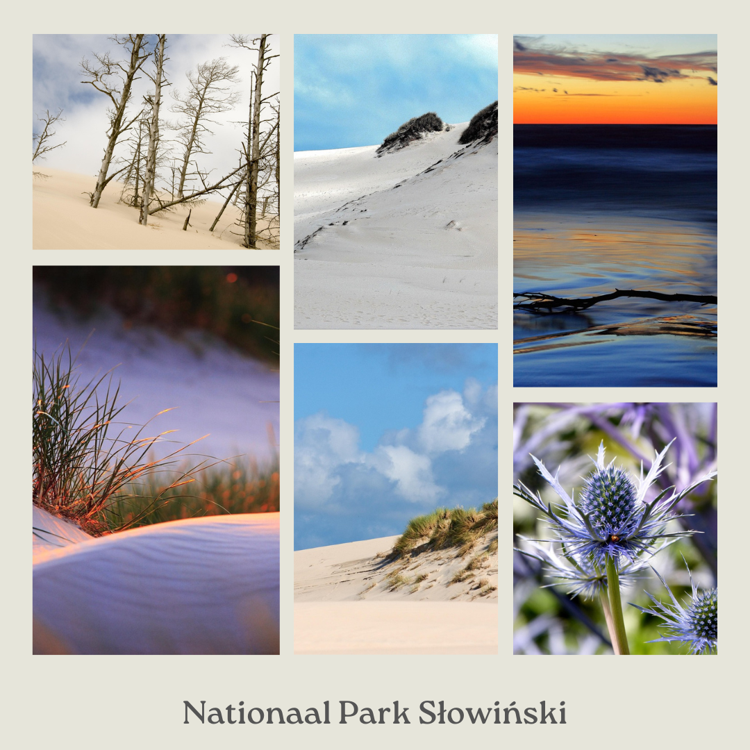 Toeristische attractie in Polen - het Nationaal Park Słowiński (Słowiński Park Narodowy).
