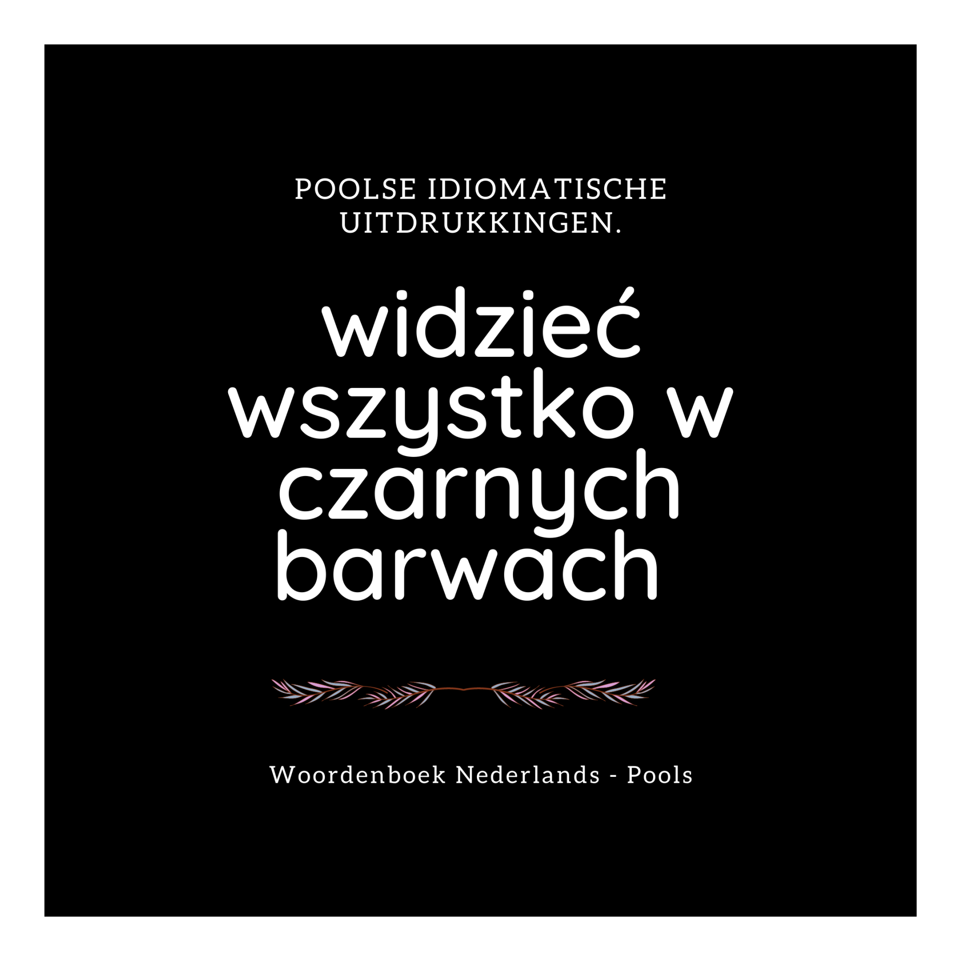 Pools leren met het Woordenboek Nederlands-Pools.
