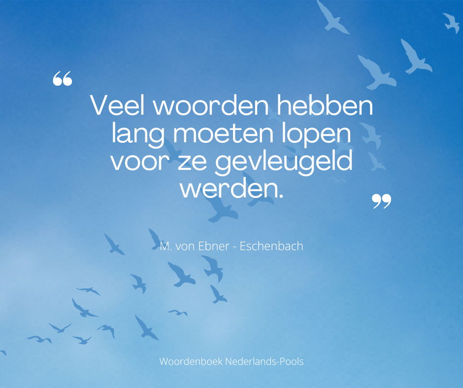 Nederlands-Pools Woordenboek | Vind de juiste vertaling van gevleugelde woorden (skrzydlate słowa).